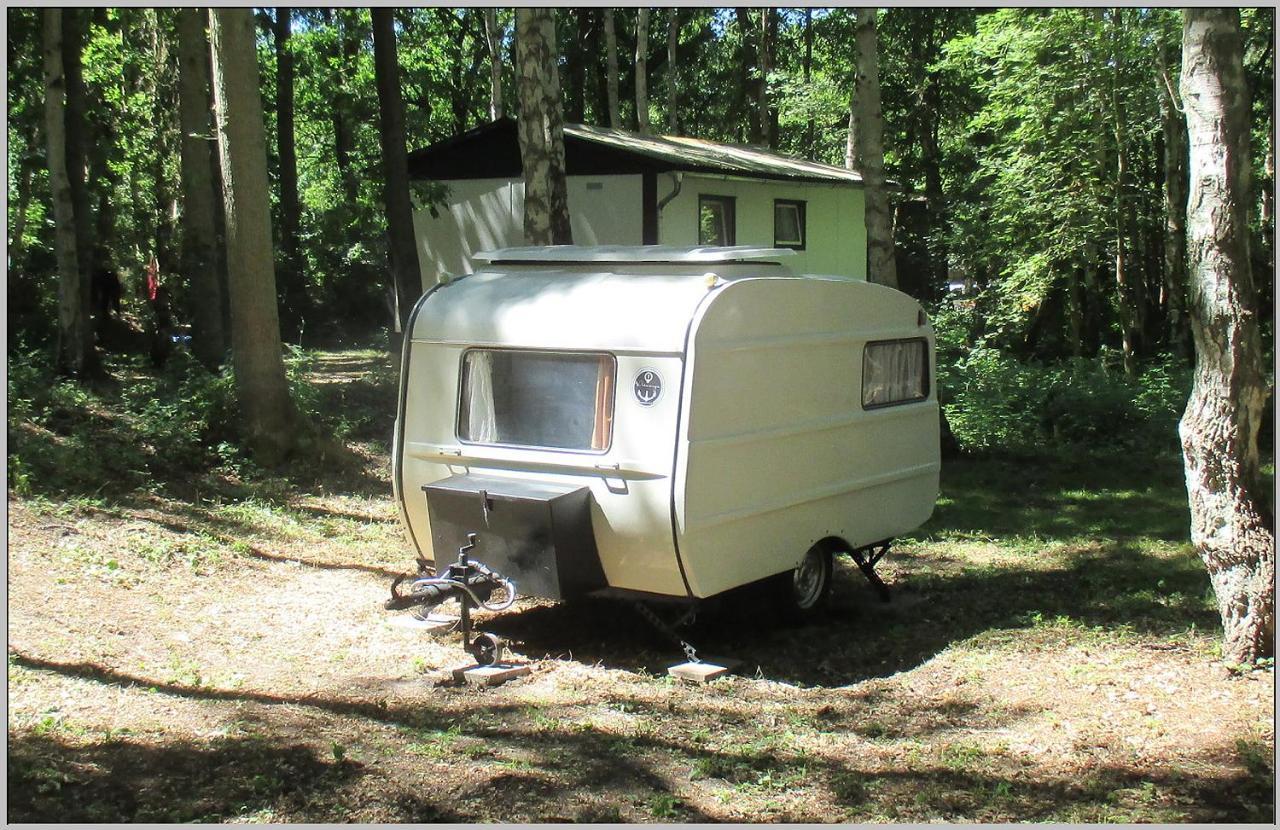 Ddr Wohnwagen Qek Direkt Am Strand Dranske Extérieur photo