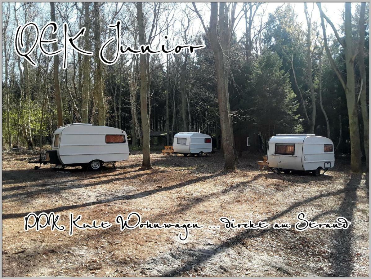 Ddr Wohnwagen Qek Direkt Am Strand Dranske Extérieur photo